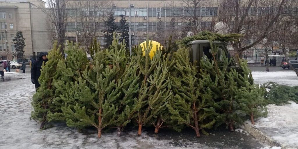 4,5 млн рублей потратит мэрия Саратова на новогодние украшения