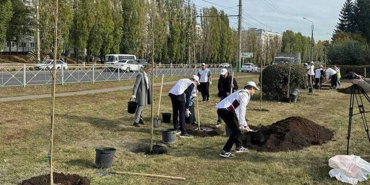 Пенза становится зелёнее: на улицах высадили 20 молодых рябин