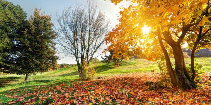 17 градусов тепла прогнозируют в Херсонской области 25 сентября