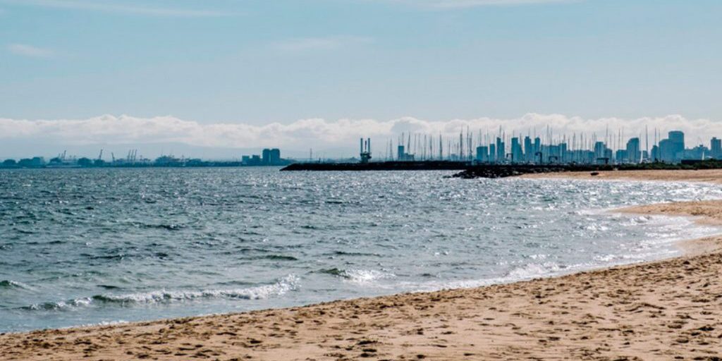 В Липецкой области возбуждено уголовное дело о мошенничестве при благоустройстве пляжей