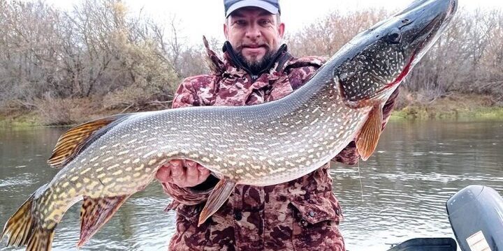 Рязанский рыбак поймал щуку весом более 8 килограммов