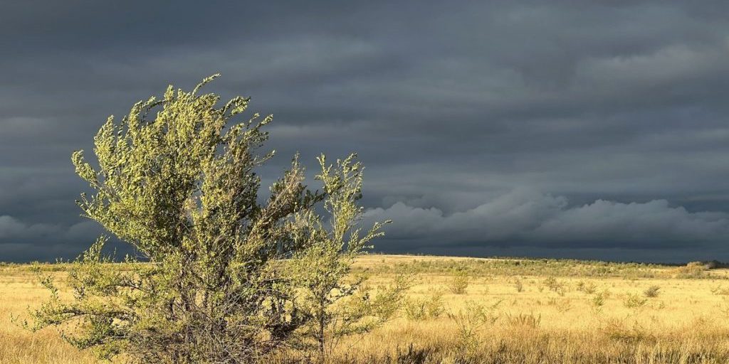Завтра осадки расскажут о погоде в Калмыкии