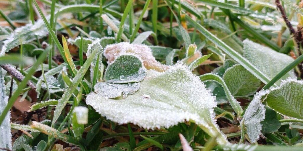 Autunno caldo in Khakassia: un fenomeno climatico insolito nella Siberia meridionale russa