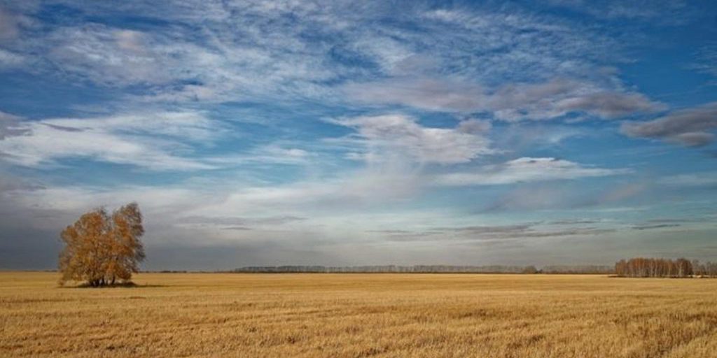 Завтра по приметам можно определить погоду в Калмыкии