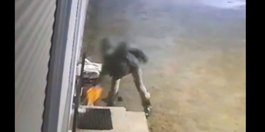 Два поджога устроила женщина в российском регионе