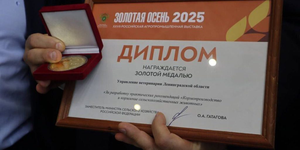 Ленобласть наградили первой золотой медалью на выставке «Золотая осень»