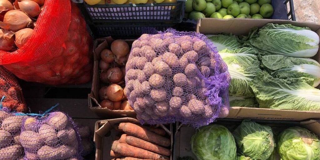 Fiera Autunno d'Oro a Kirovsk: un'opportunità per scoprire i prodotti agricoli locali e sostenere l'economia della regione