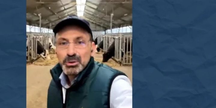 В Калининград прибыли 6 породистых быков из Америки