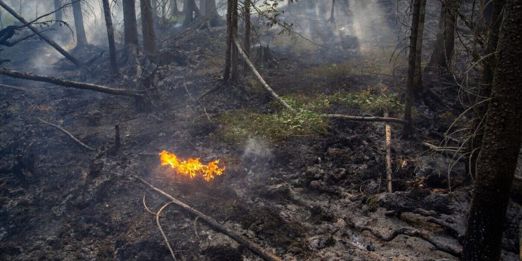 "Incendi boschivi in Carelia: strategie di prevenzione e gestione per proteggere le risorse naturali"