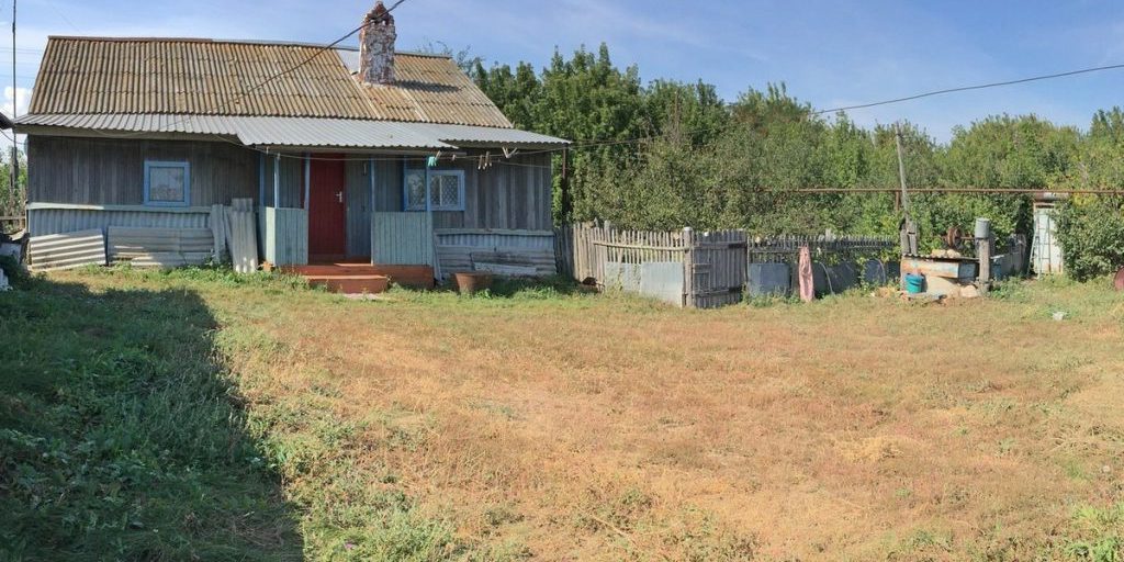 Под Саратовом нашли целое стадо незарегистрированных овец