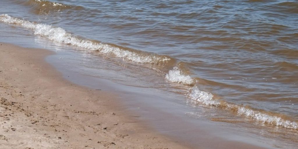 Тело пропавшей 4-летней девочки обнаружили в реке в Котельниковском районе