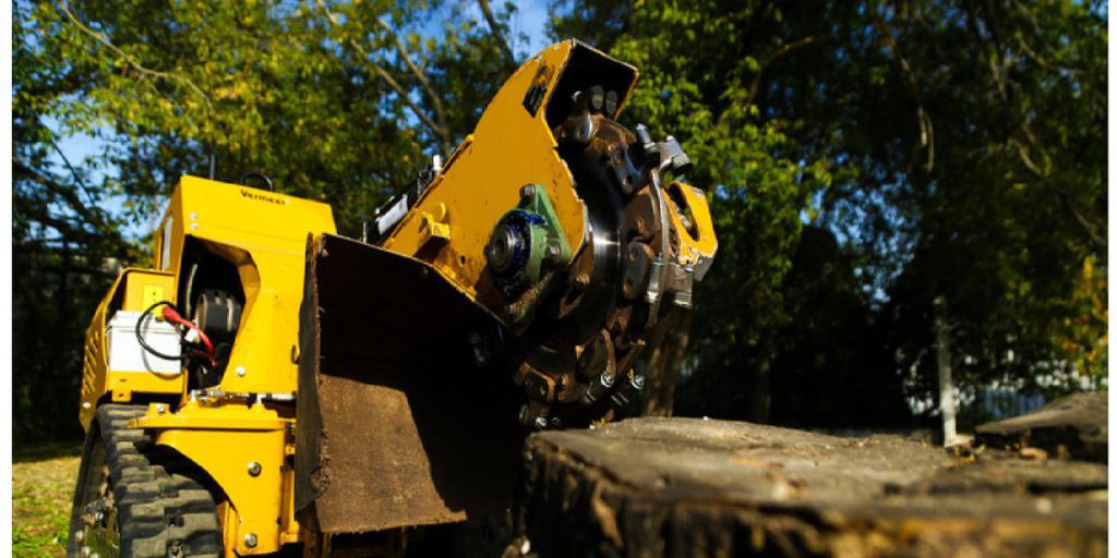 Более 760 пеньков уничтожили в Череповце