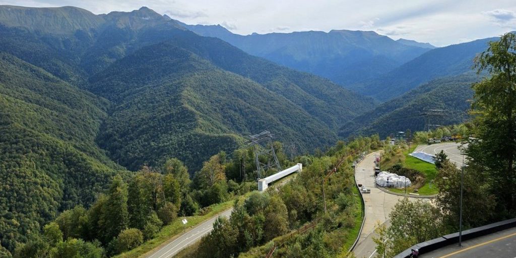 Giornata Mondiale per la Protezione degli Animali: Un'Importante Azione Ecologica per il Futuro del Pianeta