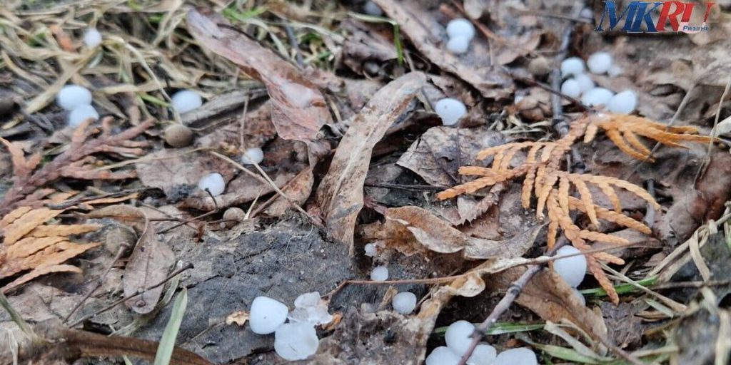 Крупный град прошёл в Александро-Невском районе Рязанской области
