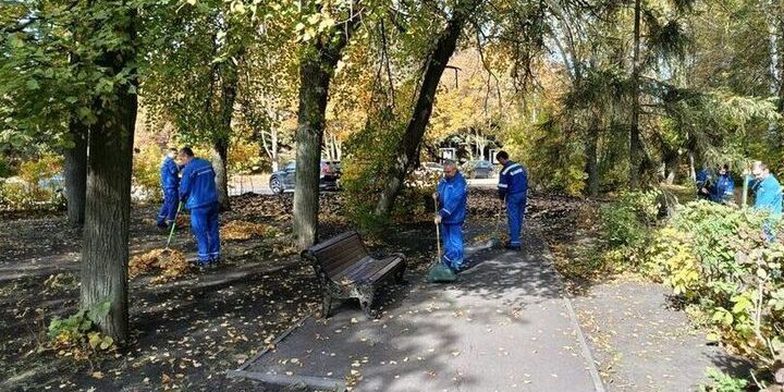 Сотрудники «СтанкоМашСтрой» приняли участие в общегородском субботнике