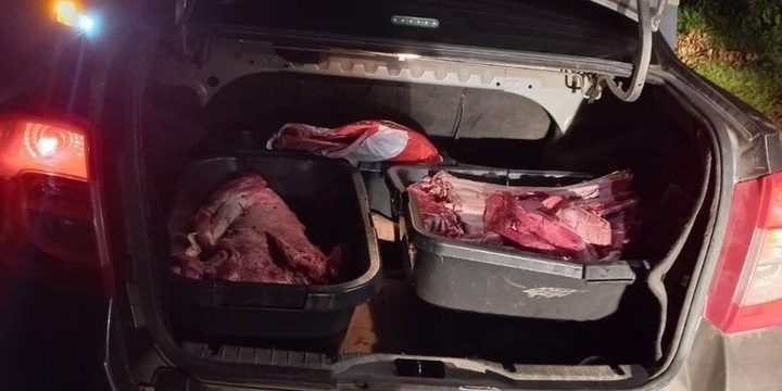 Незаконно убитого лося обнаружили сотрудники кусинской ГАИ