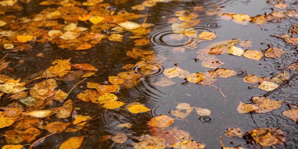 Previsioni Meteo in Carelia: Tempo Nuvoloso con Schiarite il 6 Ottobre