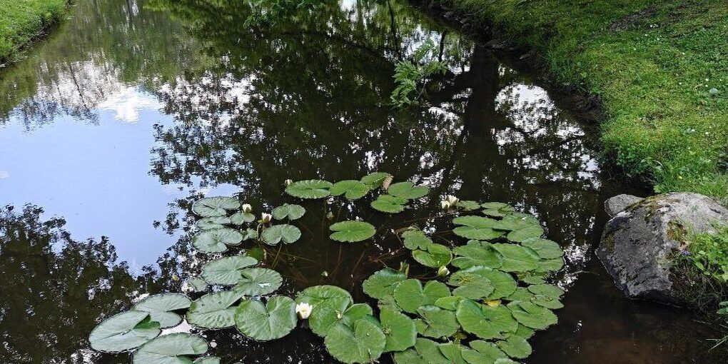 На ремонт подпорной стенки у Гагаринского ручья в Калининграде дадут 6,6 млн рублей