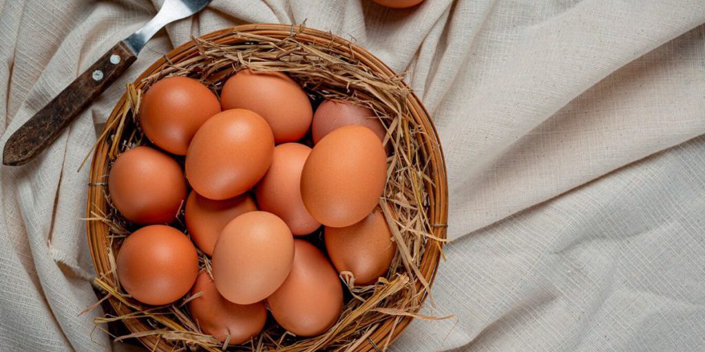Prezzi della carne di pollo in calo nella regione di Lipetsk: cosa significa per i consumatori e l'economia locale