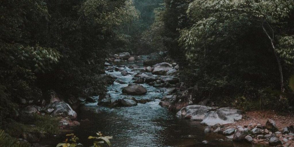 Tragedia sul fiume: barca affondata, una persona morta e due salvate - Indagini in corso