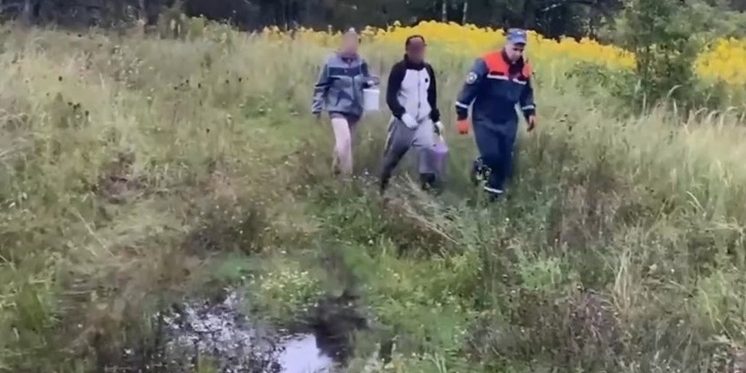 "Soccorritori di Kaliningrad salvano cercatori di funghi dispersi: l'importanza della sicurezza in natura"
