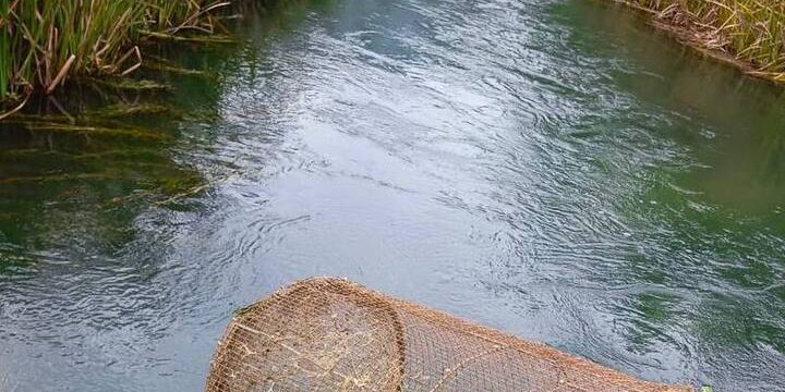 Браконьерскую ловушку изъяли в местах обитания краснокнижной выдры в Дагестане