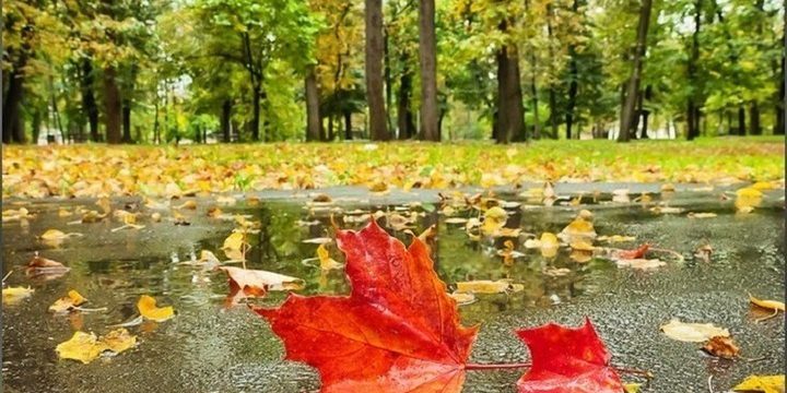 Previsioni Meteo per Nižnij Novgorod il 21 Ottobre: Cielo Coperto e Pioggia Attesi