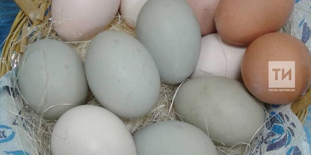 Более чем на 10 рублей подорожали яйца за неделю в Татарстане