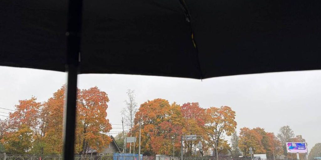 Pietroburgo si prepara a piogge brevi e temperature di 9 gradi: cosa aspettarsi dal tempo instabile nella capitale del nord