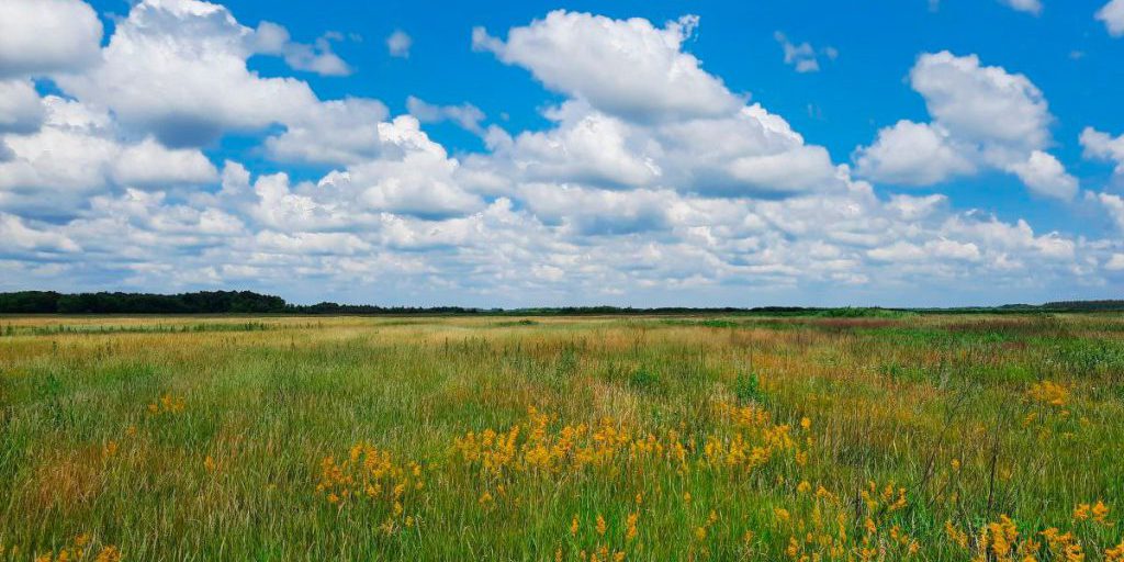В Липецкой области ограничат доступ к картам месторождений полезных ископаемых