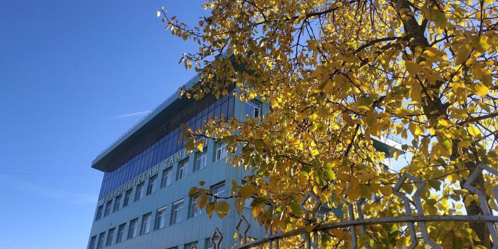 Bilancio della Dogana di Vladimir: Oltre 1,4 Miliardi di Rubli Versati nel 2025