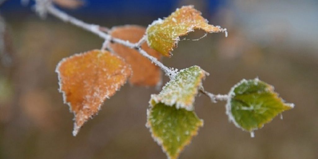 Чего категорически нельзя делать 16 октября, в день Дениса Позимнего