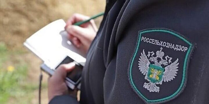 В Крыму 15 чиновников привлекли к ответственности из-за нескошенной амброзии