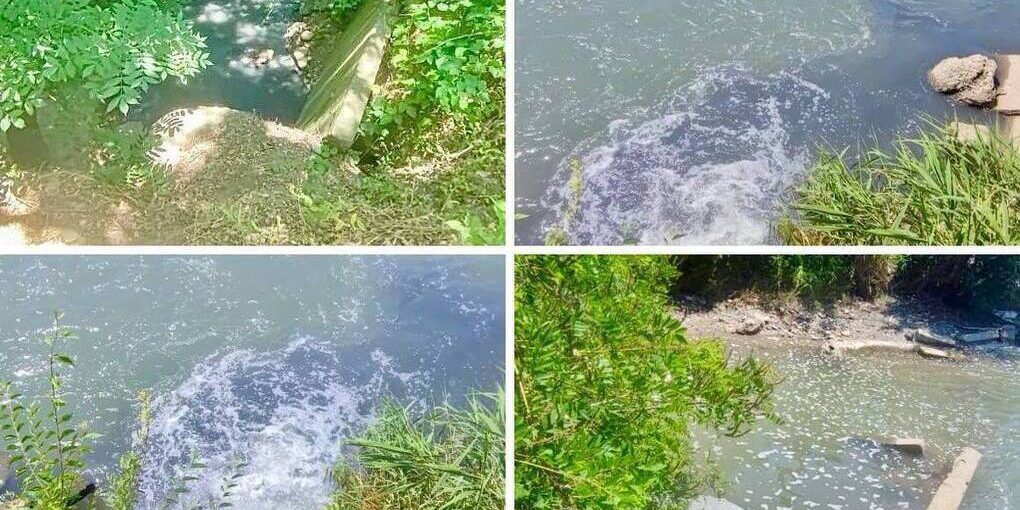 Суд обязал установить очистные сооружения для защиты реки Кубань в Невинномысске