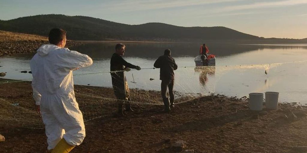 Recupero di una rete da pesca abbandonata di 5 chilometri nel lago di Taşlıyayla: un'operazione di salvataggio per centinaia di pesci