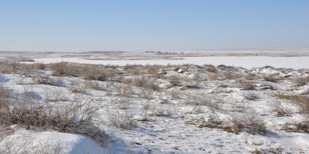 Федора расскажет о погоде в Калмыкии зимой