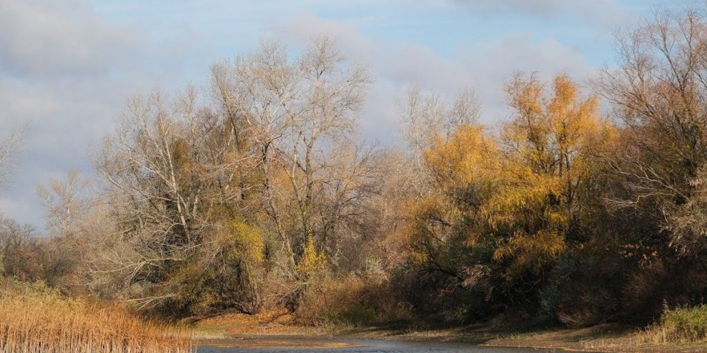 Астраханцев ждет 15 октября облачная погода и до +20℃