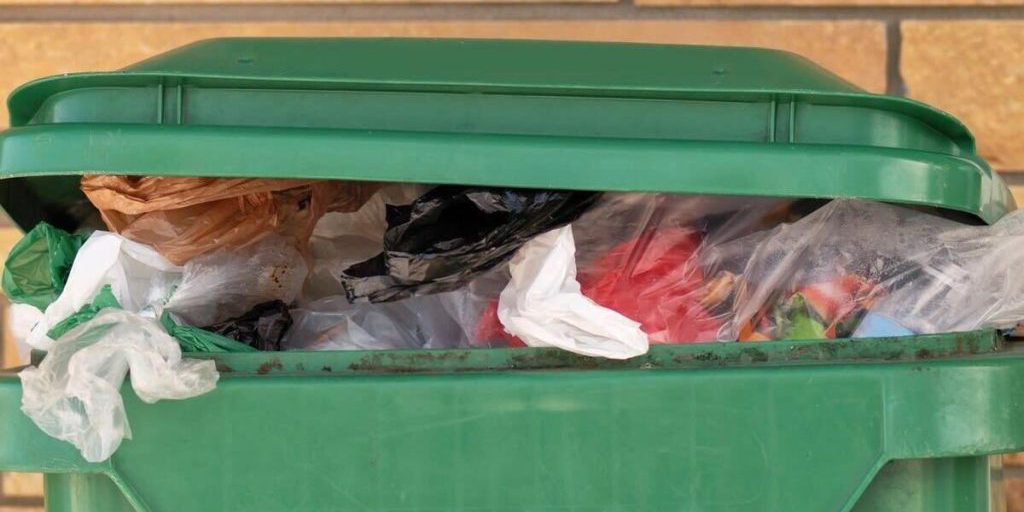 Rimozione di discarica non autorizzata a Vladimir: intervento del Rospotrebnadzor per tutelare la salute pubblica e l'ambiente