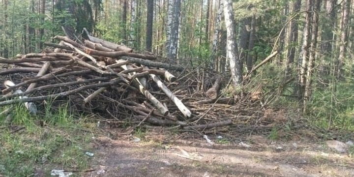 Владимирская прокуратура требует ликвидировать свалку у Мостостроя