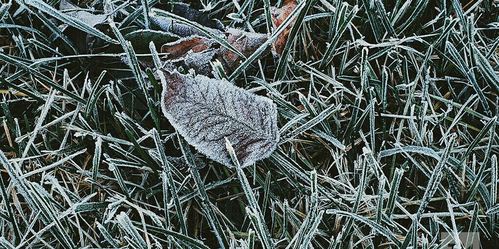 Previsioni Meteo per la Regione di Tatarstan: Condizioni Moderate e Temperate con Impatti sulla Vita Quotidiana