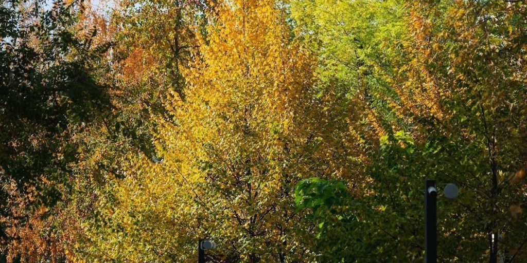 Il 14 settembre nella Tradizione Ortodossa: Significato e Celebrazioni