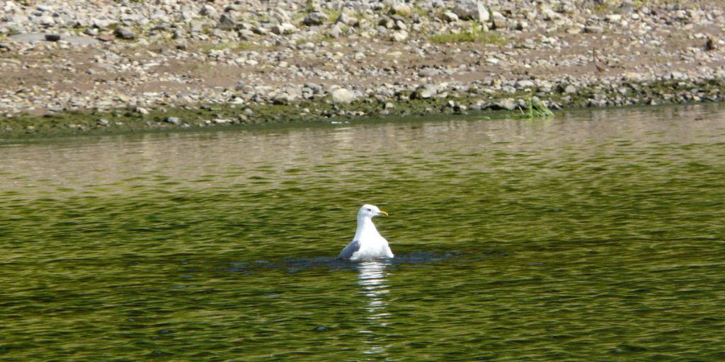 Погода в Поморье: преимущественно без осадков