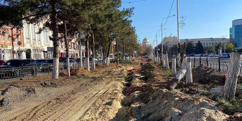Новочеркасске в ходе работ по благоустройств уничтожена целая аллея крепких сосен