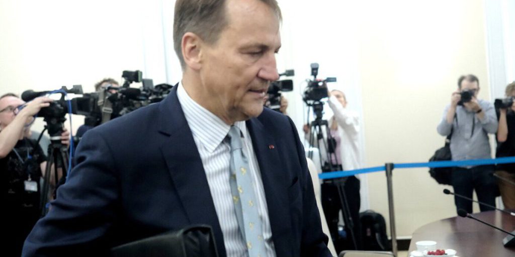 В Польше призвали ввести бесполетную зону над Украиной