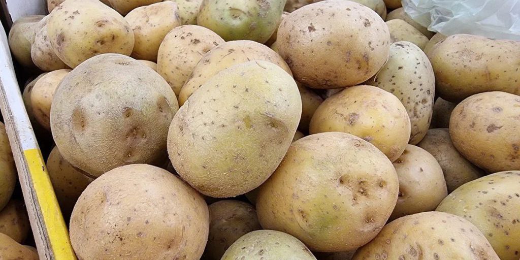 В Карелии выросли цены на самые популярные овощи