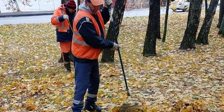 Previsioni Meteo per la Regione di Kursk: Temperature Mite e Cieli Sereni il 16 Ottobre