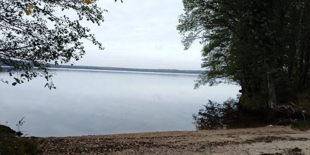 Previsioni Meteo per il 9 Ottobre nella Regione di Leningrado: Cielo Nuvoloso e Possibilità di Nebbia e Piogge Leggere