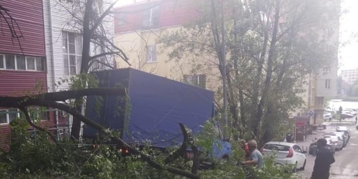 На Халтуринском в Ростове убрали упавшую из-за штормового ветра ветку