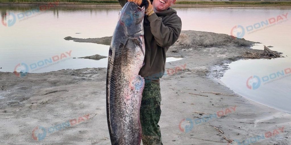 Pescatore russo cattura un pesce gigante nella regione di Rostov