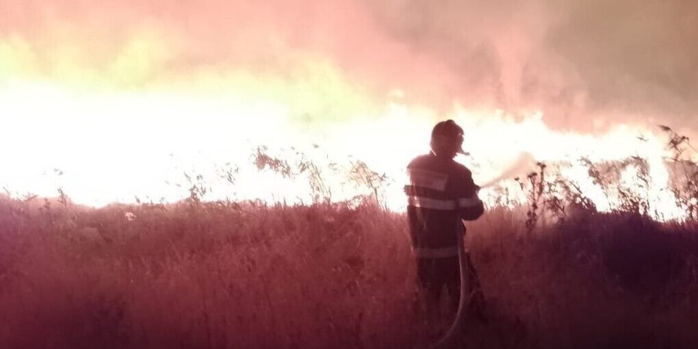 Специалисты Службы спасения Краснодара отработали за неделю 48 заявок